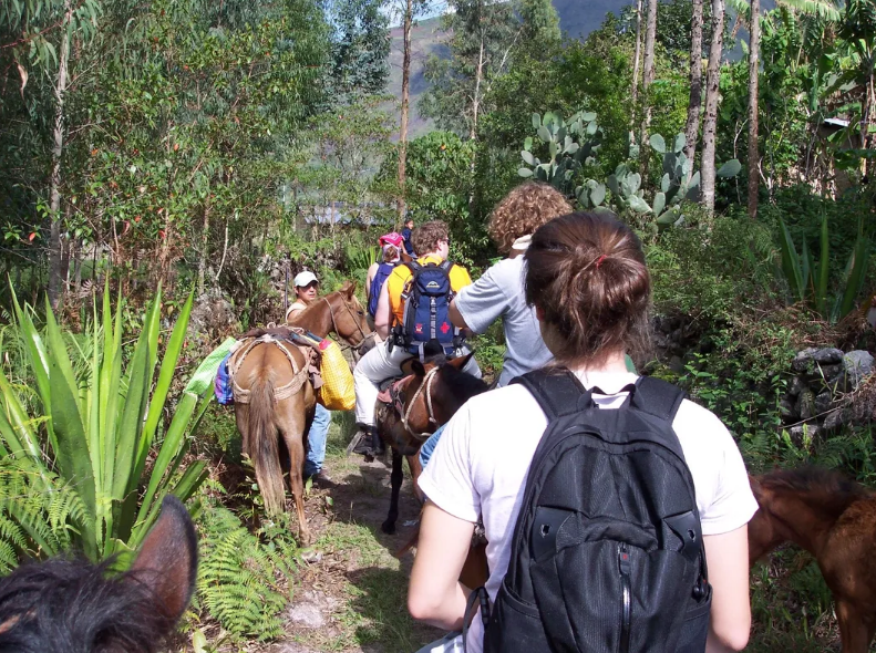 Horseback Riding